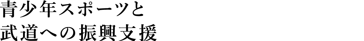 青少年スポーツと武道への振興支援